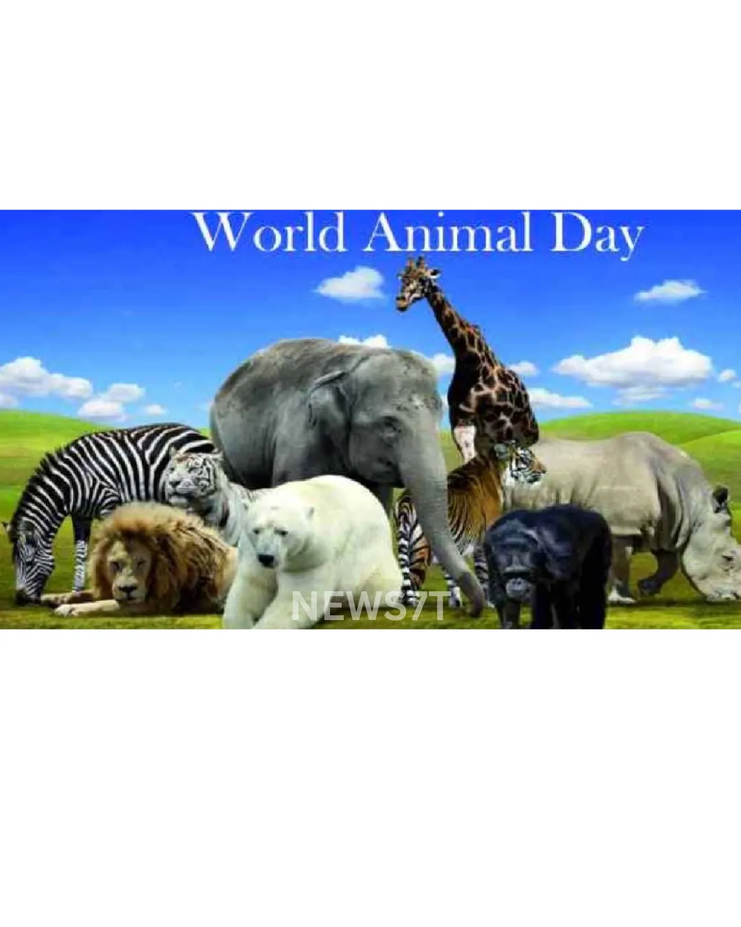 World Animal Day