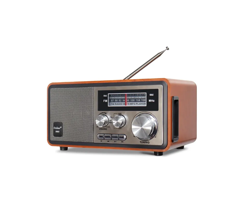 World Radio Day
