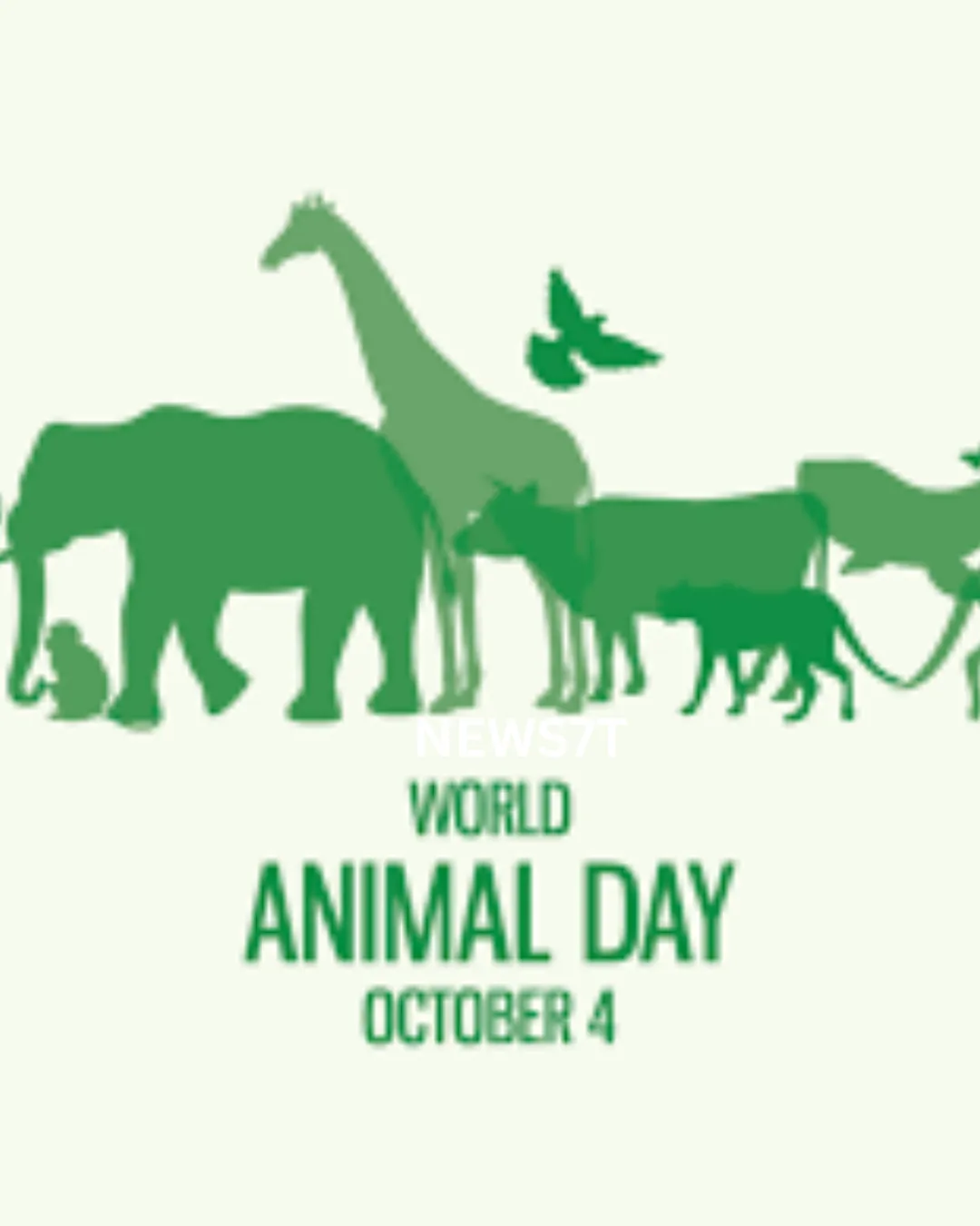 Inspiring World Animal Day: A Global Celebration of Compassion (photo 4)