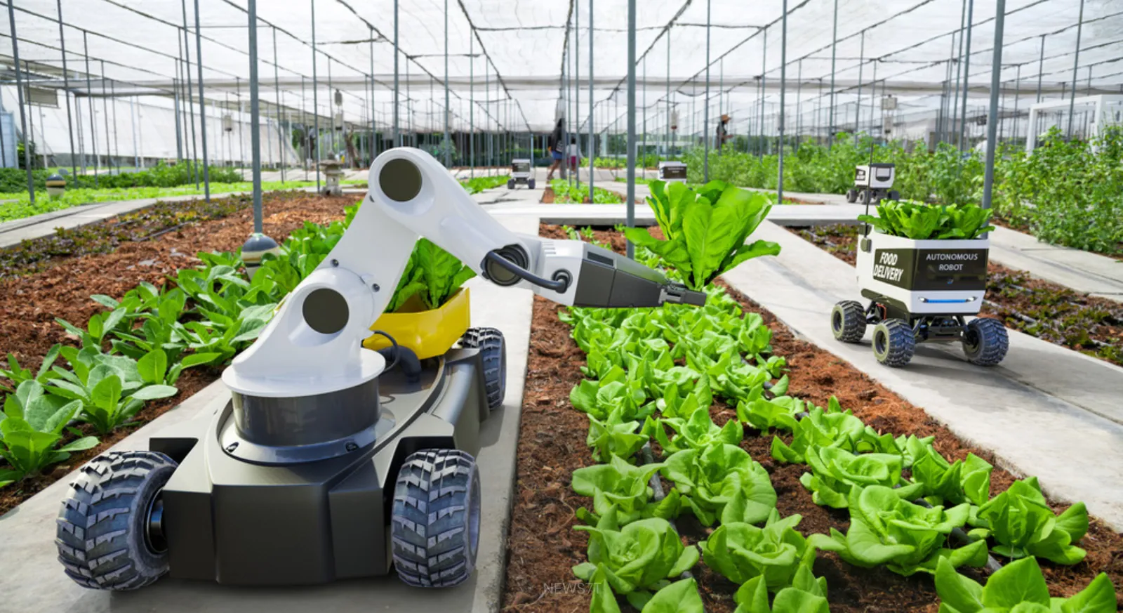 India’s Five Key Innovations for Sustainable Growth
