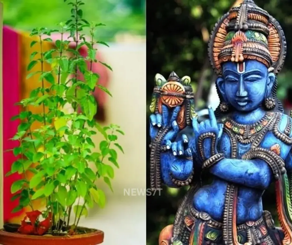 Tulsi Vivah 2025 – The Ultimate Auspicious Wedding of Lord Vishnu and Goddess Tulsi (photo 2)